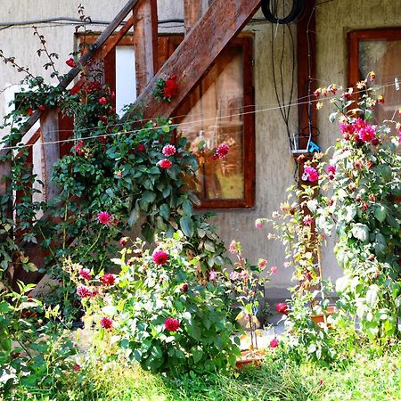 Nadia Guesthouse Mestia Buitenkant foto