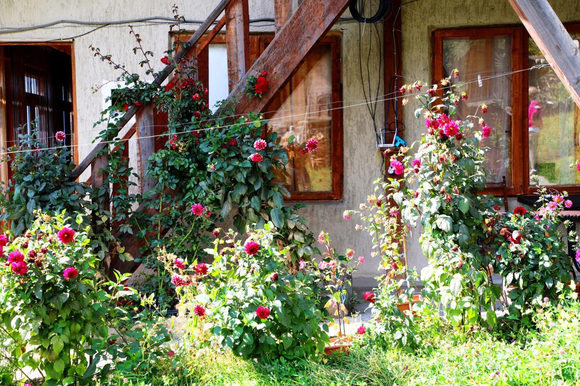 Nadia Guesthouse Mestia Buitenkant foto